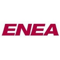 Enea Partner Biznesowy ds. IT