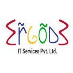 Ergode IT Services Pvt. ltd. Warehouse Operative