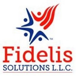 Fidelis Solutions Accountant