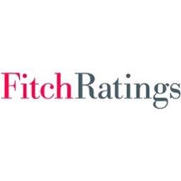 Fitch Ratings Analyst, US Corporates Group - Monterrey