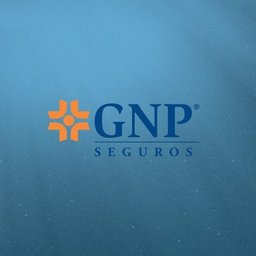 GNP Ejecutivo de Ventas de lunes a viernes