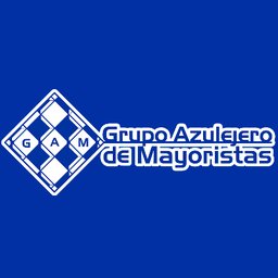 GRUPO AZULEJERO DE MAYORISTAS SA DE CV Vendedor visitador de mayoreo con automovíl