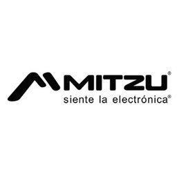 GRUPO ELECTRONICO MITZU SA DE CV Asesor de Ventas para Sucursal