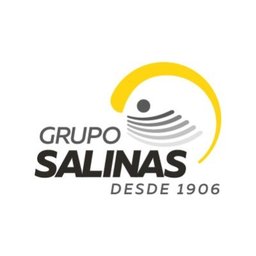 Grupo Salinas Generalista de Recursos Humanos