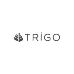 Grupo Trigo Assistente de Customer Experience