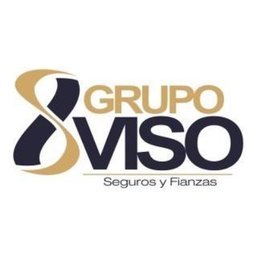 Grupo viso Ejecutivo(a) de Ventas