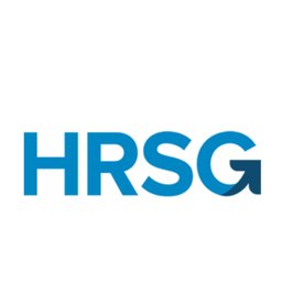 HRSG Outsourcing Pvt Limited TEAM LEAD