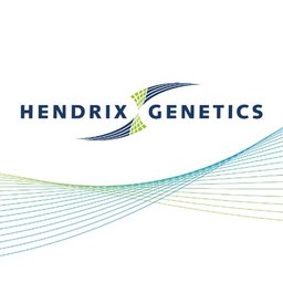 Hendrix Genetics Director Strategic Marketing & Business Intelligence (F/M)