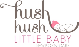 Hush Little Baby, LLC Newborn Care Specialist/ Postpartum Doula