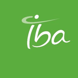 IBA Digital Transformation Manager