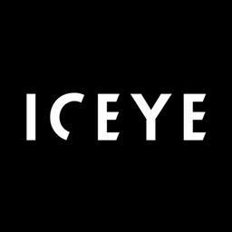 ICEYE Solution GIS Team Lead