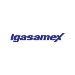 IGASAMEX Ejecutivo de Prospeccion