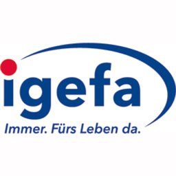 IGEFA SE & Co. KG Mitarbeiter Vertriebsinnendienst Bereich Angebotswesen (m/w/d)