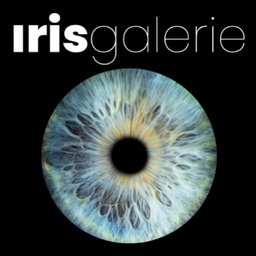 IRIS GALERIE Retail Sales Assistant/Vertriebsmitarbeiter:in (w/m/d)