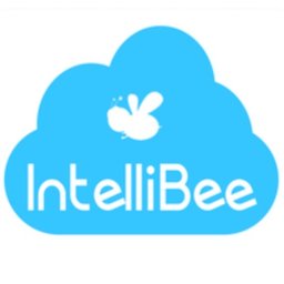 Intellibee 