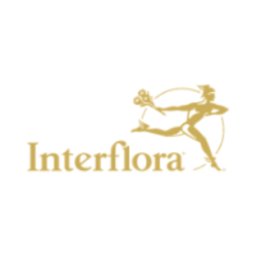 Interflora STAGE - Assistant Traffic Manager SEA H/F