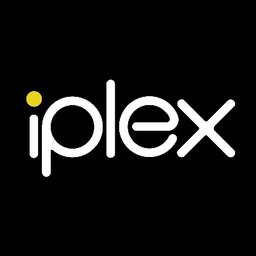 Iplex Laravel / vue.js Developer