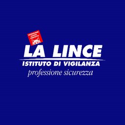 Istituto di vigilanza La Lince Responsabile tecnico