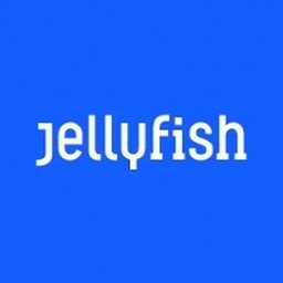 Jellyfish Senior Paid Search Manager