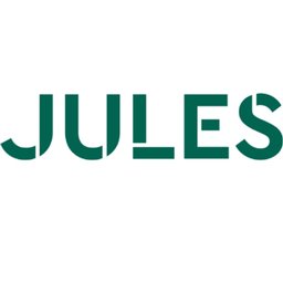 Jules Business Development lead