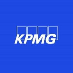 KPMG G & PS Human, Health & Social Service Executive