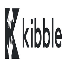 Kibble Designated Safeguarding Lead