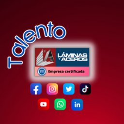 LAMINAS Y ACEROS DE YUCATAN 