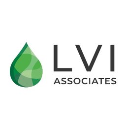 LVI Associates Director of Transmission Line Engineering