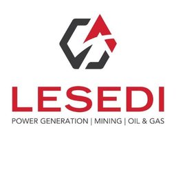 Lesedi Senior Project Manager