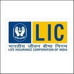 Life Insurance Corporation India Salesperson