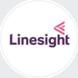 Linesight Senior Cost Manager