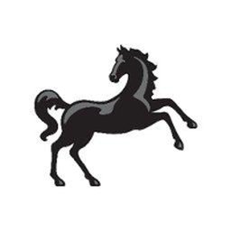 Lloyds Banking Group Customer Service Advisor