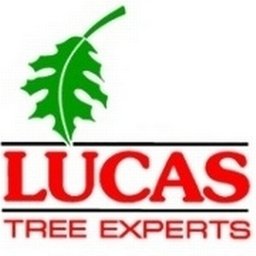 Lucas Tree Experts Arborist Trainee - Sackville, NB