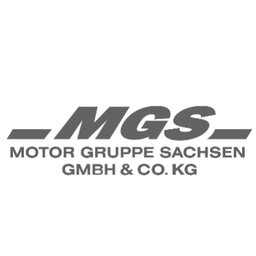 MGS Motor Gruppe Sachsen GmbH & Co. KG Verkaufsprofi Gebrauchtwagen (m/w/d)