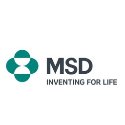 MSD UX Designer