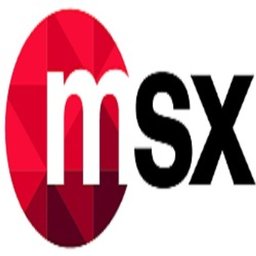 MSX International Asesor/a Comercial Vehículos Comerciales Automoción