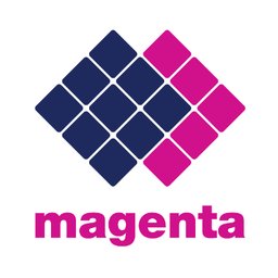 Magenta Mobility Asset Executive - Logistics