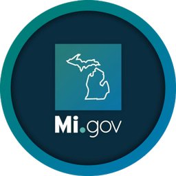 Mental Health Social Worker 9-P11 Child Day Care Consultant 12 - Grand Rapids Region Lead Worker