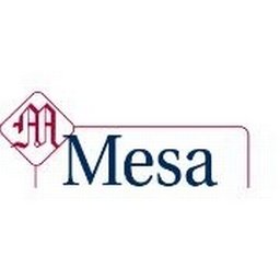 Mesa Associates, Inc. 