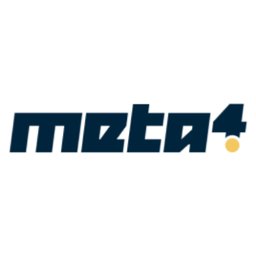 Meta4 Solutions Internal Recruiter