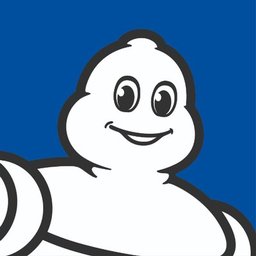 Michelin Senior Software Engineer