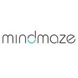 MindMaze Game Developer