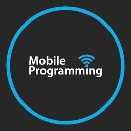 Mobile Programming LLC IT Recruiter