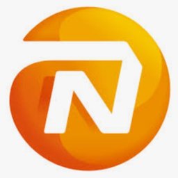 NN Group Business Intelligence Lead