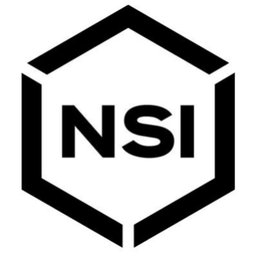 NSI INDUSTRIES 