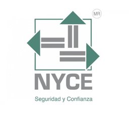 NYCE ANALISTA DE SEGUIMIENTO