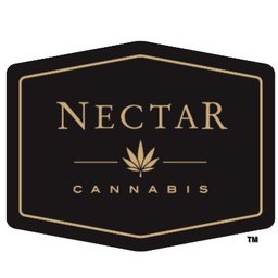 Nectar Markets Hiring Coordinator