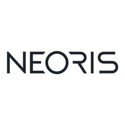 Neoris End User Services Consultant