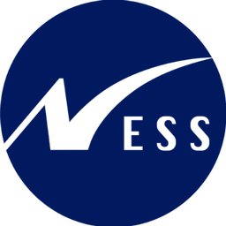 Ness Digital Engineering Senior Java Developer