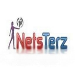 Netsterz Infotech Pvt Ltd Hiring Trainee/Freshers (SEO,PPC,BD)